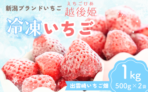 【越後姫 いちご】冷凍いちご 1kg（500g×2袋） 国産 減農薬栽培  苺 イチゴ ブランドいちご 冷凍フルーツ フルーツ 果物 新潟県産 出雲崎町 1454051 - 新潟県出雲崎町