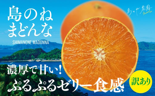 【訳あり】島のね農園まどんな(4kg) 【K001630】 1456125 - 愛媛県今治市