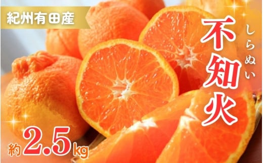 【先行予約】紀州有田産不知火(しらぬひ) 2.5kg ※2025年2月中旬頃～3月中旬頃に順次発送予定（お届け日指定不可）/ みかん 不知火 和歌山 フルーツ 有田【uot794】 1257294 - 和歌山県串本町