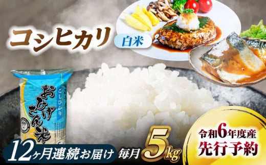 【12回定期便】コシヒカリ　白米　5kg×12回　米　お米　ご飯　愛西市/脇野コンバイン [AECP026] 1442005 - 愛知県愛西市