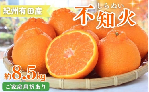 【ご家庭用訳あり】紀州有田産不知火(しらぬひ) 約8.5kg 【予約】※2025年2月中旬頃～3月上旬頃に順次発送予定(お届け日指定不可)【uot507】 763053 - 和歌山県串本町