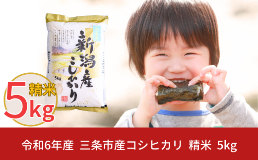 新米 先行予約 新潟県三条市産 コシヒカリ 5kg こしひかり 令和6年産 米 [株式会社白熊]【010S099】 868239 - 新潟県三条市