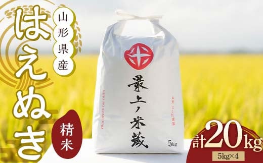 令和6年産 はえぬき 5kg×4 計20kg 精米 【最上ノ米蔵】 山形県産 こめ お米 米 白米 F3S-2219 1456317 - 山形県新庄市