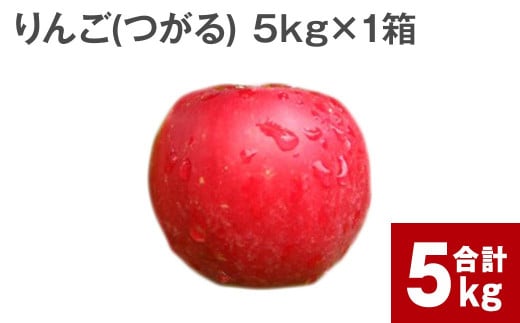 【令和6年産 先行受付】北海道深川市産 りんご（つがる） 5kg【2024年9月下旬より順次発送】林檎 リンゴ フルーツ デザート お取り寄せ 1453585 - 北海道深川市