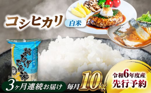 【3回定期便】コシヒカリ 白米 10kg×3回 愛西市 / 脇野コンバイン  米 お米 コメ [AECP027] 1442006 - 愛知県愛西市