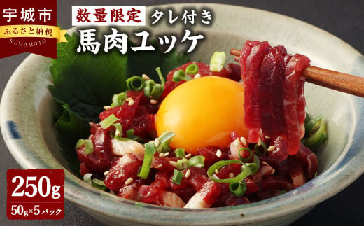 【数量限定】馬肉ユッケ 250g タレ付き 1パック50g 個包装 肉 お肉 馬刺し 馬肉 馬 ユッケ 1052802 - 熊本県宇城市