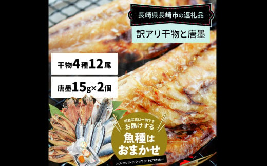 【最長2ヵ月前後】訳ありおまかせ干物 4種類 (12枚) とカラスミ詰め合わせ ひもの 海の幸 魚介類 海鮮 唐墨 からすみ 長崎 1452265 - 長崎県長崎市