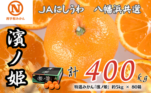 特選みかん「濱ノ姫」計400kg(約5kg×80箱)＜H08-81＞【1510459】