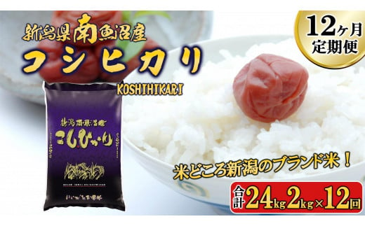 【令和6年産新米予約／令和6年11月上旬より順次発送】【B-12定期便】南魚沼産コシヒカリ2kg×12回 461776 - 新潟県南魚沼市