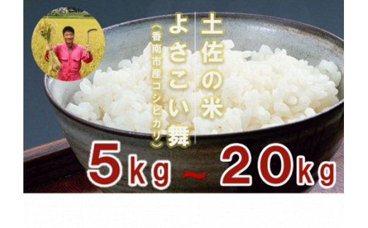 コシヒカリ 5kg 10kg 15kg 20kg 小分け 小袋 詰め合わせ 個包装 のし 贈り物 白米 朝ごはん ランチ 夕飯 おいしい ご飯が食べたい こしひかり おこめ おにぎり ギフト 贈答 高知県 香南市 常温 Tkr-0040