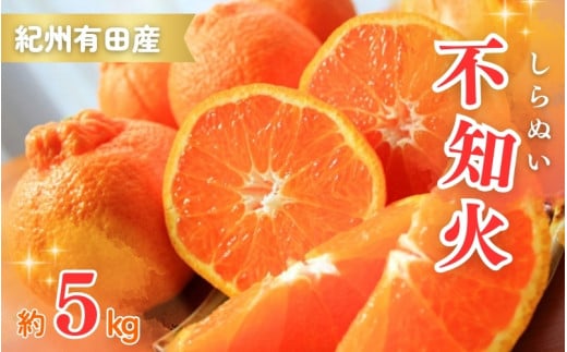 紀州有田産不知火(しらぬひ) 約5kg ※2026年2月中旬頃〜2026年3月中旬頃発送[uot709A]