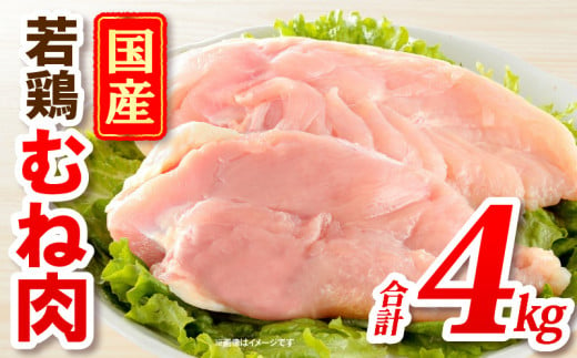 国産若どりむね肉4kg_M333-001 1452358 - 宮崎県宮崎市