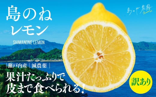 【訳あり】島のねレモン 5kg 【K001610】 1180294 - 愛媛県今治市