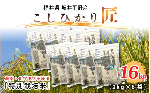 【先行予約】【令和6年産・新米】農薬・化学肥料不使用 コシヒカリ匠 16kg (2kg × 8袋)（白米）【2024年10月上旬以降順次発送予定】 [E-2915_01] 344080 - 福井県坂井市