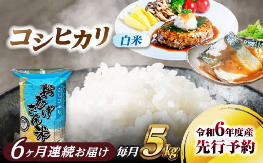 【6回定期便】コシヒカリ 白米 5kg×6回 愛西市 / 脇野コンバイン 米 お米 コメ [AECP025] 1442004 - 愛知県愛西市