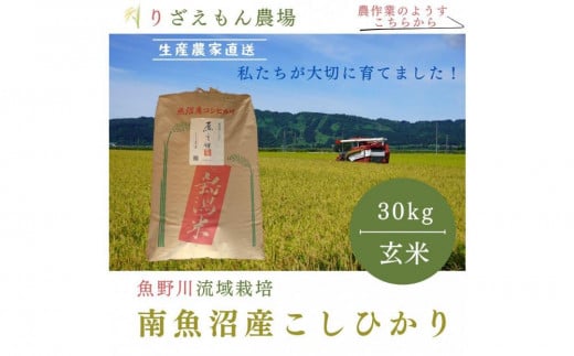 《新米》玄米30kg　令和６年産　南魚沼産　コシヒカリ　こしひかり　魚野川流域　匠 雲蝶(たくみ　うんちょう）＼生産農家直送／ 458746 - 新潟県南魚沼市