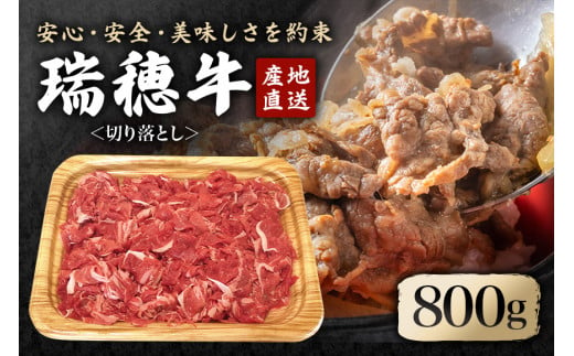 瑞穂牛切り落としセット 約800g 冷凍配送 牛肉 ブランド牛 A4 A5 A4ランク A5ランク 茨城県 モモ ばら かた 赤身 霜降り 部位ミックス 国産 切り落とし 国産牛 柔らか 牛丼 肉じゃが 冷凍 お取り寄せ