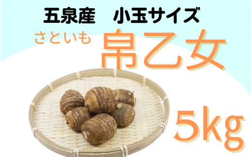 【先行予約】 家庭用 小玉サイズ さといも「帛乙女（きぬおとめ）」 5kg(M・Lのいずれか)　※サイズ指定不可 五泉ブランド野菜 里芋 サトイモ  新潟県 五泉市 五泉市園芸組織連絡協議会（2024年10月下旬以降順次発送） 1461639 - 新潟県五泉市