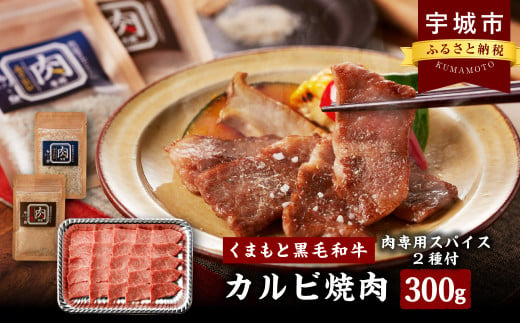 くまもと黒毛和牛 カルビ焼肉 300g オリジナルスパイス2種付き 黒毛和牛 和牛 牛肉 牛 焼肉 カルビ お肉 肉 1432177 - 熊本県宇城市