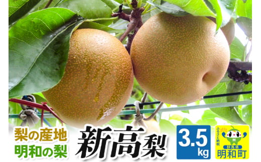 梨（新高）3.5kg 1452519 - 群馬県明和町