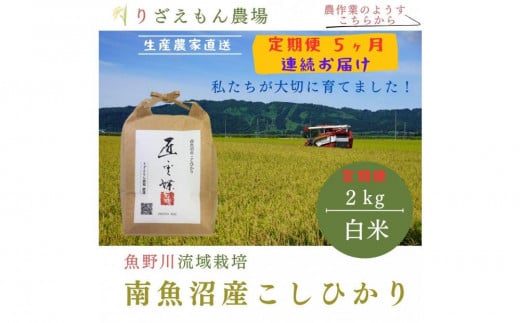 《新米》【定期便5回×2kg《合計10kg》】令和６年産　南魚沼産コシヒカリ　白米2kg＼生産農家直送／ 514186 - 新潟県南魚沼市