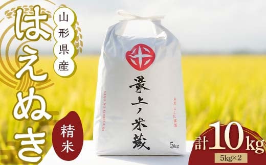 令和6年産 はえぬき 5kg×2 計10kg 精米 【最上ノ米蔵】 山形県産 こめ お米 米 白米 F3S-2218 1456316 - 山形県新庄市