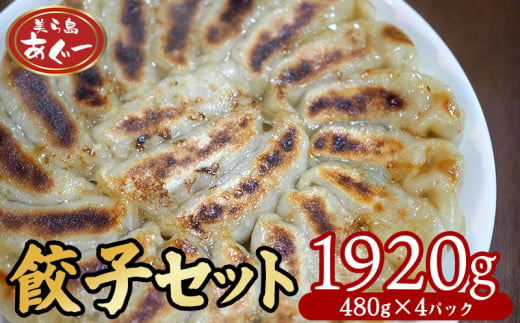 【美ら島あぐー】　餃子セット　1920ｇ 【480g×4パック】 あぐー もっちり 沖縄 大宜味村 豚肉 小分け 国産 おつまみ こだわり ぶた アグー 加工品 おいしい 美味しい 取り寄せ 肉 豚 冷凍 まろやか 旨味 1452290 - 沖縄県大宜味村