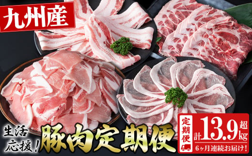 【定期便 全6回】九州産豚肉 生活応援定期便(計13.95kg) 定期便 豚肉 ぶた肉 肉 国産 九州産 切り落とし 切落し 小分け 真空パック チャック付き 野菜炒め 豚丼 カレー t006-011 1452207 - 鹿児島県志布志市