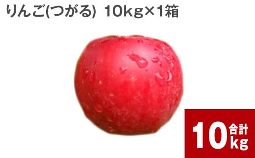 【令和6年産 先行受付】北海道深川市産 りんご（つがる） 10kg【2024年9月下旬より順次発送】林檎 リンゴ フルーツ デザート お取り寄せ 1453586 - 北海道深川市