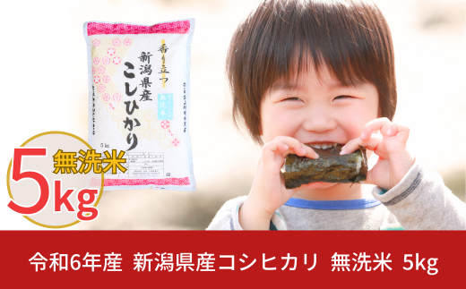 新米 無洗米 新潟県産 コシヒカリ 5kg こしひかり 令和6年産 米 [株式会社白熊]【010S098】 868241 - 新潟県三条市