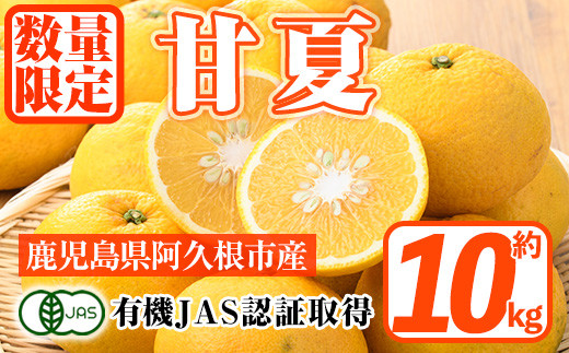 ＜先行予約受付中！2026年2月上旬以降発送予定＞数量限定！有機JAS 甘夏(約10kg) 国産 果実 果物 フルーツ 柑橘 デザート 期間限定 有機栽培【中村農場】akn084-05