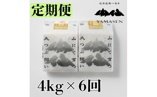 （新米）令和6年産米【定期便】山仙（いのちの壱）2kg×2（4kg）×6回 すがたらいす 下呂市金山産 2024年産 毎月 4キロ×6カ月 お米 精米 コシヒカリ 下呂温泉 下呂市 米 ブランド米 1454345 - 岐阜県下呂市