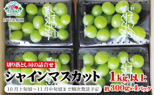 [No.5657-4082]シャインマスカット 切り落とし房の詰め合わせ 1kg以上(約300g×4パック)《村石果樹園》■2024年発送■※10月上旬頃～11月中旬頃まで順次発送予定 1464598 - 長野県須坂市