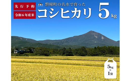 福島県磐梯町のふるさと納税 【予約受付】【令和6年産米】コシヒカリ5kg　磐梯町の名水で育ったコシヒカリ