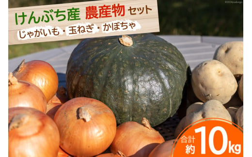 【先行受付】数量限定 野菜 けんぶち産農産