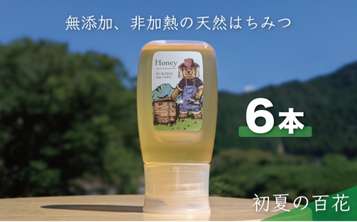 №5308-0393]合計1800g 天然蜂蜜 国産蜂蜜 非加熱 生はちみつ 岐阜県 美濃市産 初夏 (蜂蜜300g入りピタッとボトル6本セット)  B17 - 岐阜県美濃市｜ふるさとチョイス - ふるさと納税サイト