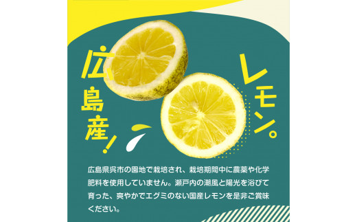 訳あり】希少な国産オーガニックレモン2.0kg【栽培期間中農薬不使用】 皮まで 食べられる 檸檬 フルーツ 果物 柑橘 訳アリ 産地直送 常温配送  送料無料 国産 広島県 呉市 - 広島県呉市｜ふるさとチョイス - ふるさと納税サイト