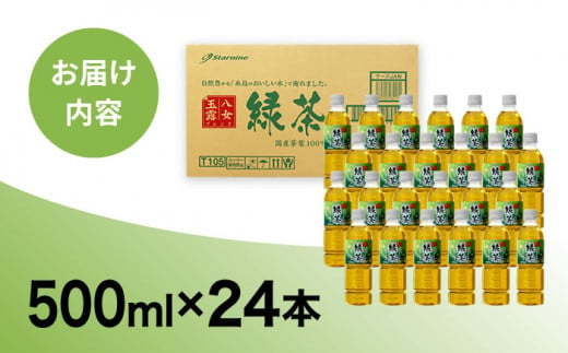 緑茶 ペットボトル 500ml × 24本