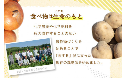 北海道剣淵町のふるさと納税 【先行受付】数量限定 野菜 けんぶち産農産物セット 3種 計10kg [剣淵・生命を育てる大地の会 北海道 剣淵町 14656147] じゃがいも 玉ねぎ かぼちゃ 野菜セット