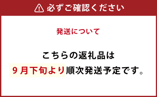 九重町産 冷凍 ブルーベリー 2kg (1kg×2袋) 農薬不使用 果物