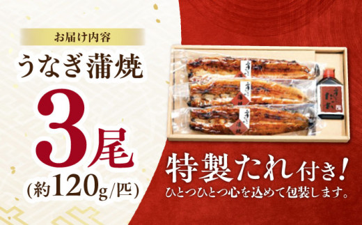 うなぎ蒲焼3尾入り 国産 うなぎ ウナギ 鰻 蒲焼 かばやき うな重 うな丼 ひつまぶし