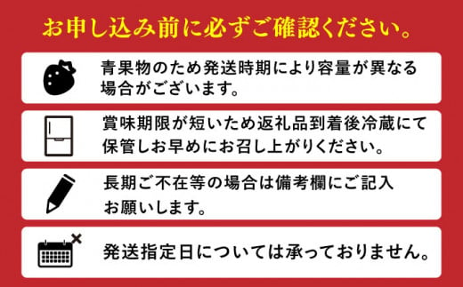 博多甘うぃ約3.4kg キウイ キウイフルーツ あまうぃ