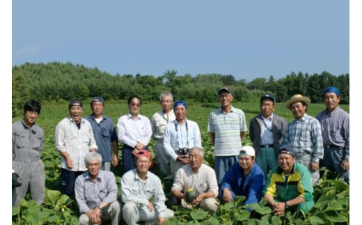 北海道剣淵町のふるさと納税 【先行受付】数量限定 野菜 けんぶち産農産物セット 3種 計10kg [剣淵・生命を育てる大地の会 北海道 剣淵町 14656147] じゃがいも 玉ねぎ かぼちゃ 野菜セット