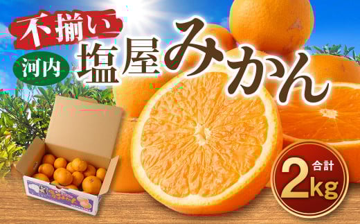 ＜2025年11月発送予定＞【不揃い】選べる 河内 塩屋みかん 2kg 早生みかん 熊本 国産 みかん 蜜柑 ミカン 果物 くだもの フルーツ  1436911 - 熊本県熊本市