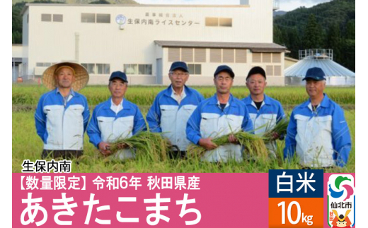 【白米】あきたこまち 10kg（10kg×1袋）令和6年産 新米予約 精米  秋田県仙北市産 10キロ