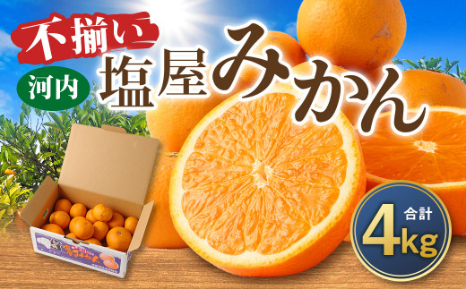 ＜2024年12月発送予定＞【不揃い】選べる 河内 塩屋みかん 4kg 青島みかん 熊本 国産 みかん 蜜柑 ミカン 果物 くだもの フルーツ  1436924 - 熊本県熊本市