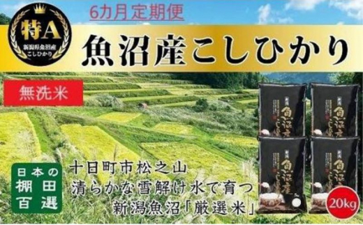 【令和7年産新米予約】 【食味鑑定士厳選】無洗米 6カ月 定期便 日本棚田百選のお米 天空の里 魚沼産 こしひかり 20kg(5kg×4)×6回 米 お米 コメ