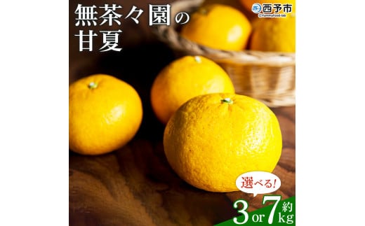 無茶々園の甘夏 約3kg/7kg 果物 くだもの あまなつ みかん ミカン 蜜柑 柑橘 フルーツ 選べる内容量 期間限定 季節限定 食べて応援 特産品 愛媛県 西予市 [常温]