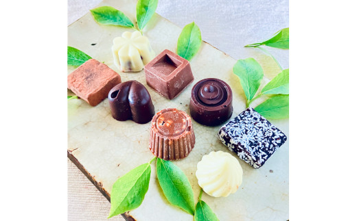ホワイト＆ミルク＆ビター＆生チョコ詰合わせ〈８個〉白砂糖不使用