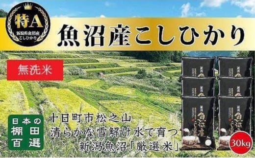 【令和6年産新米予約】日本棚田百選のお米 無洗米 天空の里 魚沼産 こしひかり 30kg(5kg×6) 1454304 - 新潟県十日町市